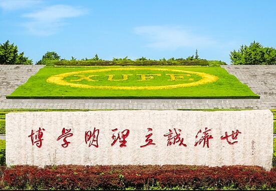 局域网内服务器是做什么的
